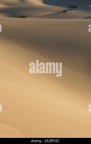 Zwei Menschen stehen in durchaus Einsamkeit unter der Weite des goldenen Sanddünen. Stockfoto