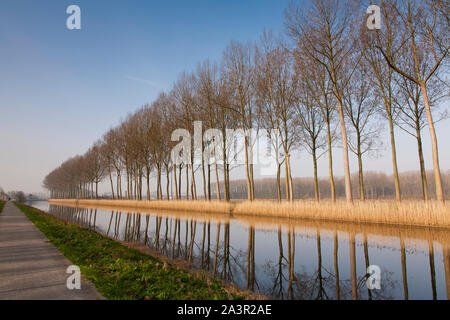 Damse Vaart Kanal und Radweg, Belgien Stockfoto