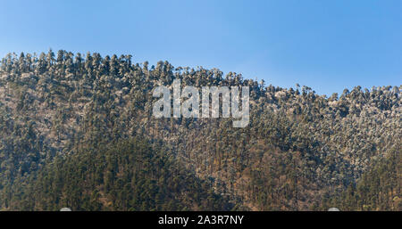 Panorama der schneebedeckten Bäumen entlang Mountain Edge im Winter. Stockfoto