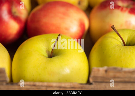 Äpfel. Herbst Ernte. Frische organische Rote und gelbe Äpfel im Container, in der Nähe Stockfoto