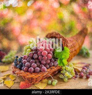 Herbst noch Leben mit Reifen verschiedene Rebsorten. Hinter den schönen Herbst. Stockfoto