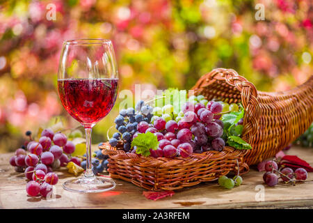 Herbst noch Leben mit Reifen verschiedenen Rebsorten Wein und Glas. Hinter den schönen Herbst. Stockfoto