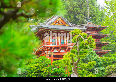 Japanischen Tee Garten im Golden Gate Park, San Francisco, Kalifornien Stockfoto