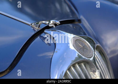 Motorhaube Maskottchen auf Oldtimer wie Jaguar. Stockfoto