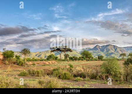 Äthiopischen Landschaft in der Nähe von Arba Minch. Äthiopien südlichen Nationen Region, Afrika Omo tal Wüste Stockfoto