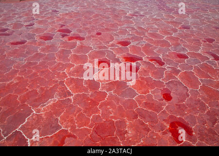 Lago Natron, Valle del Rift, Tansania, Afrika Stockfoto