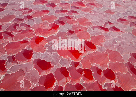Lago Natron, Valle del Rift, Tansania, Afrika Stockfoto