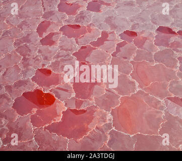 Lago Natron, Valle del Rift, Tansania, Afrika Stockfoto