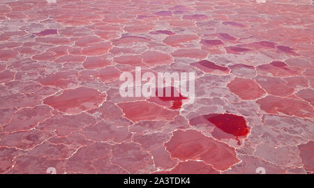 Lago Natron, Valle del Rift, Tansania, Afrika Stockfoto