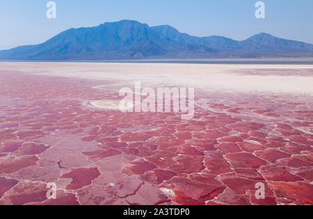 Lago Natron, Valle del Rift, Tansania, Afrika Stockfoto