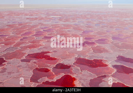 Lago Natron, Valle del Rift, Tansania, Afrika Stockfoto