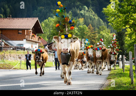 Charmey, Fribourg, Schweiz - 28 September 2019: Landwirte mit einer Herde von Kühen auf der jährlichen Wanderhaltung in Charmey in der Nähe von bulle, Freiburg Zone auf Stockfoto