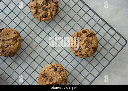 Chocolate Chip Cookies Stockfoto