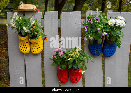 Leuchtend bunte Paar Gummischuhe, Holzzaun genagelt und als Blumentöpfe mit Pflanzen wachsen in ihnen. Garten Dekoration Stockfoto