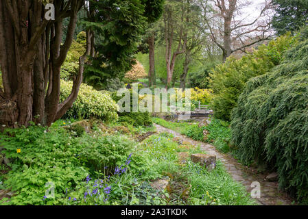 Ein Frühlingstag an Hergest Croft Gardens in der Nähe von Kington in Herefordshire, England. Stockfoto