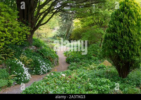 Ein Frühlingstag an Hergest Croft Gardens in der Nähe von Kington in Herefordshire, England. Stockfoto