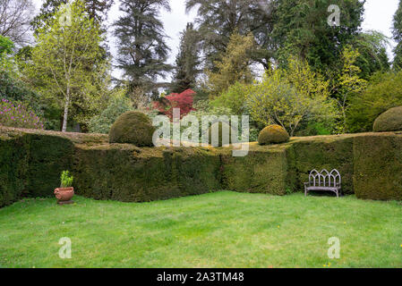 Ein Frühlingstag an Hergest Croft Gardens in der Nähe von Kington in Herefordshire, England. Stockfoto