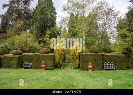 Ein Frühlingstag an Hergest Croft Gardens in der Nähe von Kington in Herefordshire, England. Stockfoto