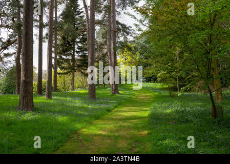 Ein Frühlingstag an Hergest Croft Gardens in der Nähe von Kington in Herefordshire, England. Stockfoto