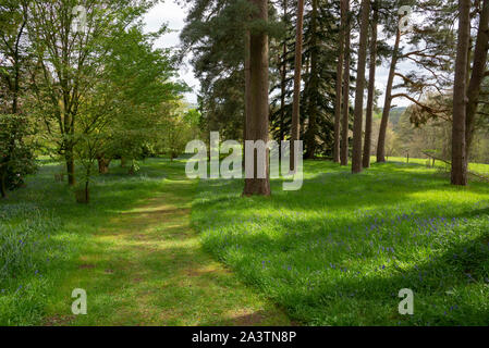 Ein Frühlingstag an Hergest Croft Gardens in der Nähe von Kington in Herefordshire, England. Stockfoto