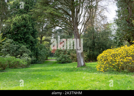 Ein Frühlingstag an Hergest Croft Gardens in der Nähe von Kington in Herefordshire, England. Stockfoto