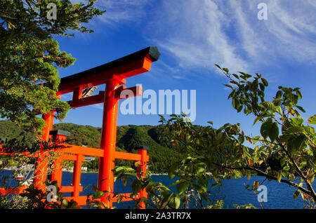 Torii Tor am See Ashi Hakone, Japan Stockfoto