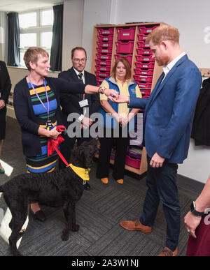 Der Herzog von Sussex trifft Barney die Therapie Hund bei einem Besuch der Nottingham Academy bei seinem Besuch in der Welt der psychischen Gesundheit Tag markieren. Stockfoto