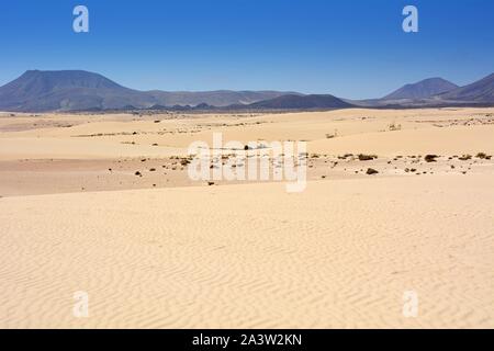 Goldenen Sanddünen im Parque Natural Corralejo im Nordosten der Insel Fuerteventura. Stockfoto