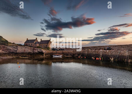 Am frühen Morgen an den malerischen Hafen von Cove in der Nähe von cockburnspath in Berwickshire, Scottish Borders, Schottland, Großbritannien Stockfoto