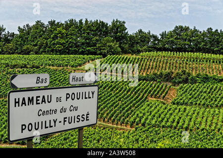 Hameau de Pouilly unterzeichnen und Reben am Pouilly-Fuissé, in der Nähe von Macon, Burgund, Frankreich. Stockfoto