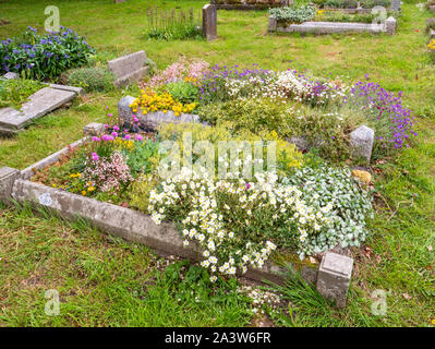 Blume Friedhof gepflanzt Bestäuber wie Bienen und Schmetterlinge in St. Michael Pfarrkirche Dundry Dorf in der Nähe von Bristol in Somerset UK zu gewinnen Stockfoto