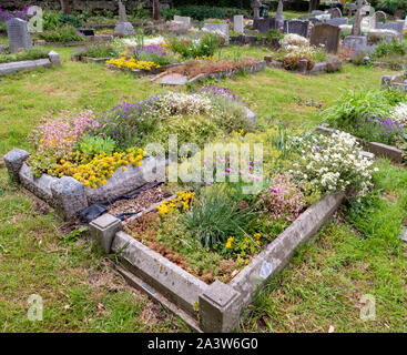 Blume Friedhof gepflanzt Bestäuber wie Bienen und Schmetterlinge in St. Michael Pfarrkirche Dundry Dorf in der Nähe von Bristol in Somerset UK zu gewinnen Stockfoto