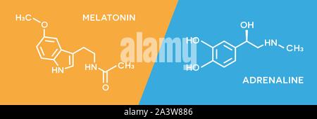 Melatonin und Adrenalin Hormon Symbole. Menschliche Körper Hormone molekulare chemische Formel. Stock Vektor