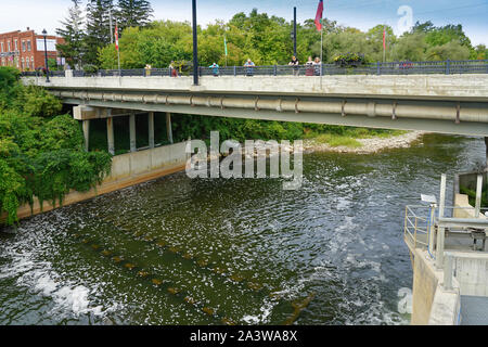 Marian und Stausee in Thornbury, Ontario, Kanada, Nordamerika Stockfoto