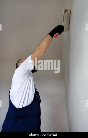 Bauarbeiter tun beenden Renovierung im Apartment. Professionelle Maler Auftragnehmer mit weißer Farbe bürstenrolle Malerei der Betonwand. Stockfoto