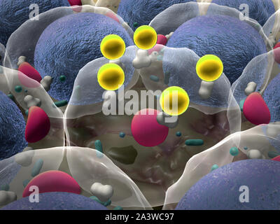 Bereich der Fettzellen, hochwertige 3D-Render von Fettzellen, Cholesterin in den Zellen, Zellen, Wirkmechanismus von Insulin, Humaninsulin, struct Stockfoto