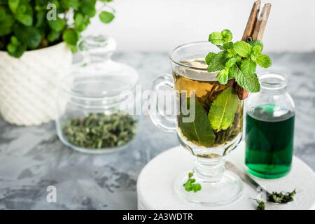 Beruhigenden Tee mit frisch und frischer Minze und Mint Sirup. Ein warmes Getränk für den Herbst und Winter. Das Konzept der Pflege des emotionalen Zustand. Stockfoto