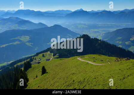 Schöne Gipfel Gipfel der Hohen Salve, Teil der Kitzbüheler Alpen, Österreich Stockfoto