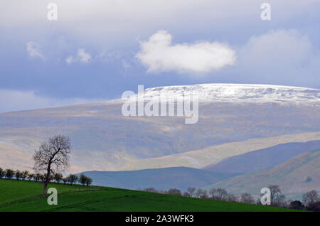 Kreuz fiel im Frühjahr, nördlichen Pennines Stockfoto
