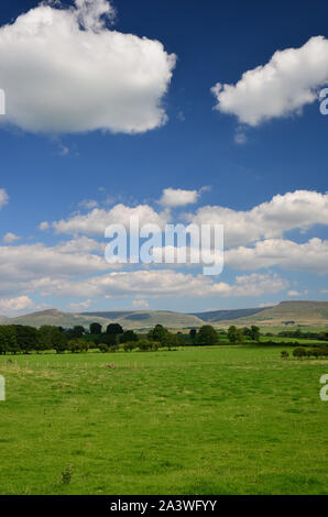 Nördlichen Pennines im Sommer, Eden Valley Stockfoto