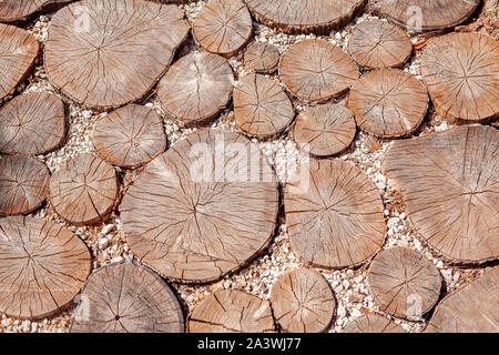 Holzsteg, Pfad durch Ausschneiden runde Bäume Stockfoto