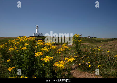 Flamborough Head Leuchtturm Flamborough Küsten Landspitze gelegen und mit einem Blick auf Bridlington Bucht und die Heritage Coast Stockfoto