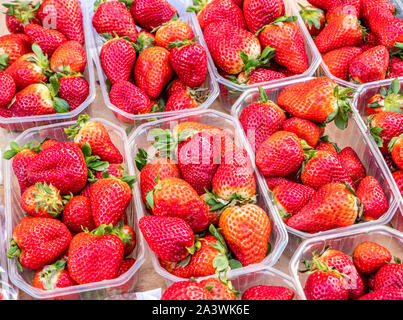 Süß und Lecker Erdbeeren Stockfoto