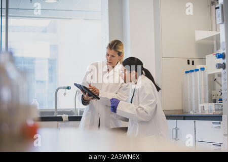 Zwei Wissenschaftlerinnen analysieren Daten der digitalen Tablet Stockfoto