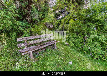 Holzbank mit Flechten und Moos im Land abgedeckt Stockfoto