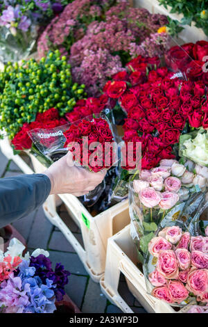 Person, Blumen pflücken am Marktstand Stockfoto