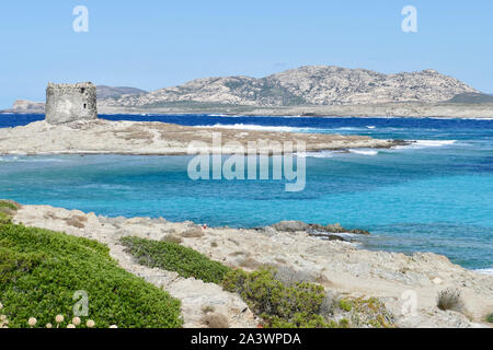 Mediterranean Beach in der Spiaggia La Pelosa, Stintino, Sardinien, Italien Stockfoto