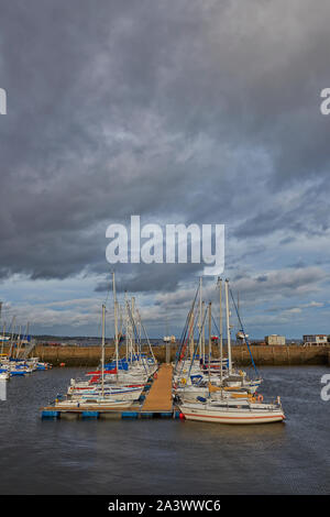 Yachten günstig neben einem Schwimmsteg innerhalb der Marina im alten Hafen von Tayport auf die Tay Mündung auf einen Oktober Nachmittag. Stockfoto