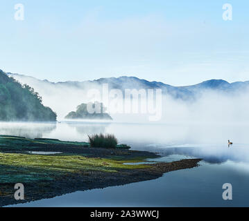 Dawn Cloud beginnt, scheint die Sonne durch den Nebel über einem Waldgebiet am See Derwentwater abzuführen, Lake District, Cumbria, England. Stockfoto