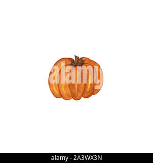 Aquarell Kürbis auf weissem, Herbst und haloween Symbol isoliert Stockfoto
